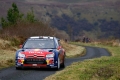 Loeb-Elena   Shakedown